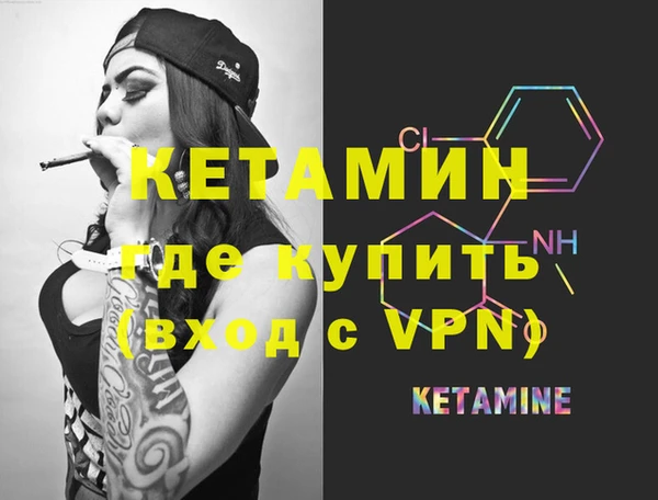 индика Богородицк