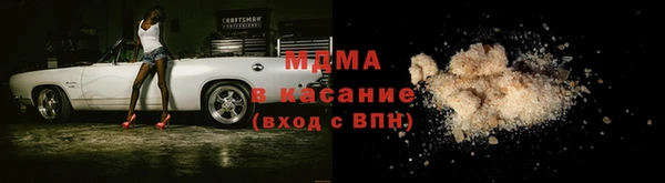 индика Богородицк