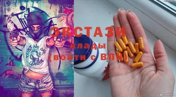 индика Богородицк