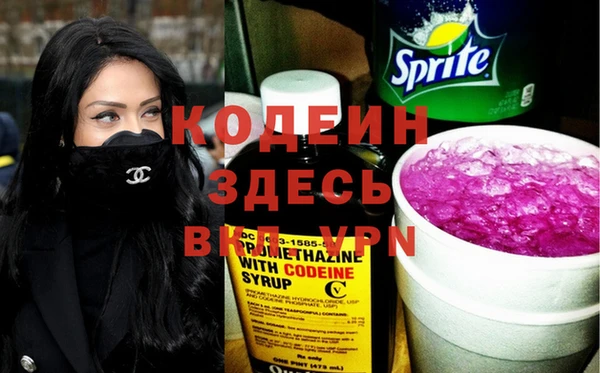 индика Богородицк