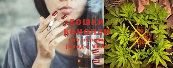 гидра Белоозёрский