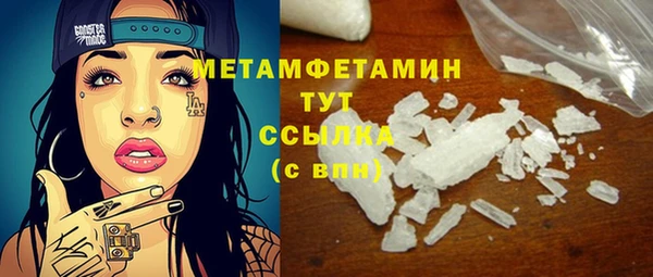 индика Богородицк
