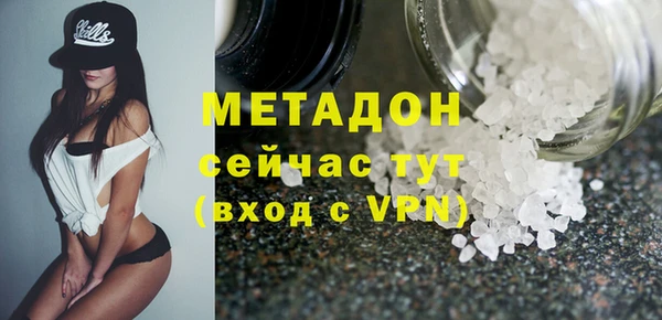 индика Богородицк