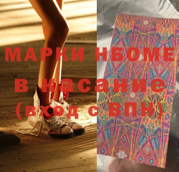 индика Богородицк