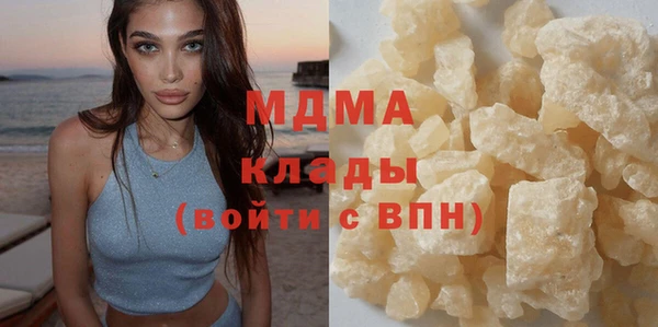 индика Богородицк