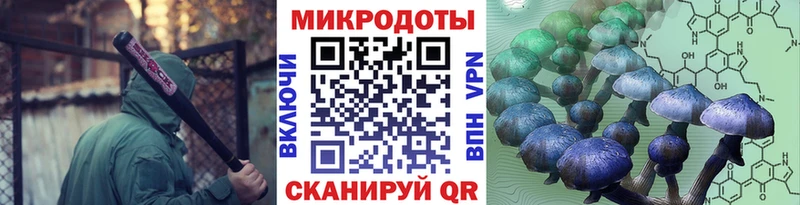 где можно купить наркотик  Карасук  Галлюциногенные грибы MAGIC MUSHROOMS 