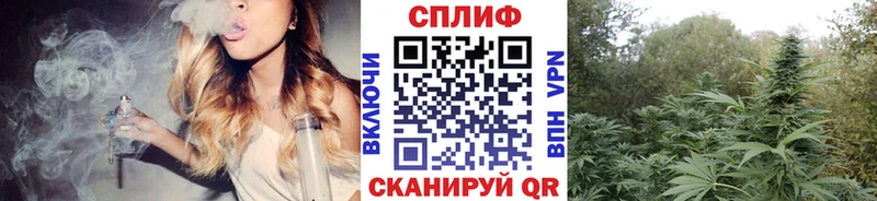 цены   Карасук  Конопля сатива 